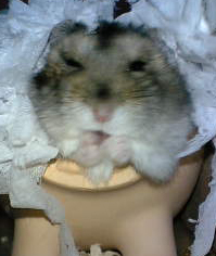 思い出したら。。。