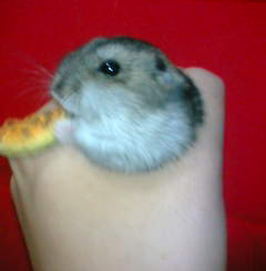 横から見ると。。。