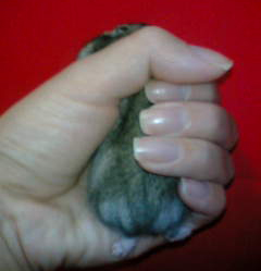 後ろから見ると。。。