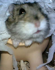 ん？？何か？？