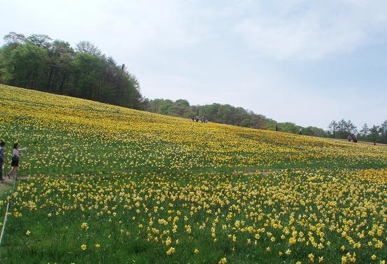 縮小 98 高原.JPG