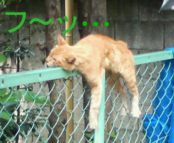 200908221151000.jpg