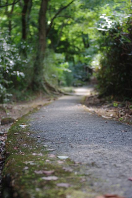 どこまでも続く道