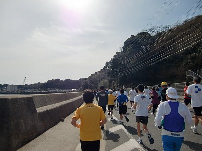 三浦国際マラソン