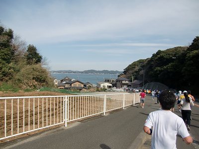 三浦国際マラソン