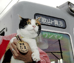 駅長　たま