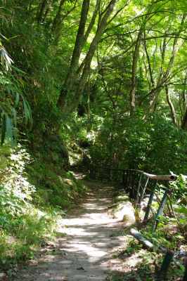 遊歩道のイメージ