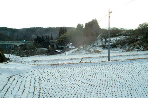 田んぼの雪.jpg