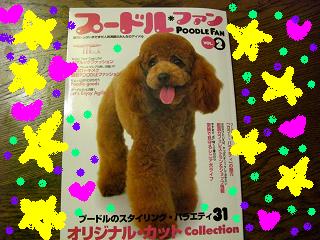 プードルファン.JPG