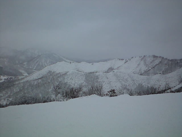 ミルキーウェイから