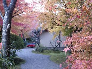 2010.11.24保津川くだりと天龍寺 (3).jpg