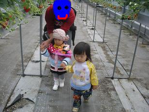 DSCN1252.jpg