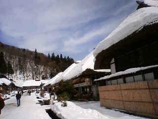 100131_122656.JPG