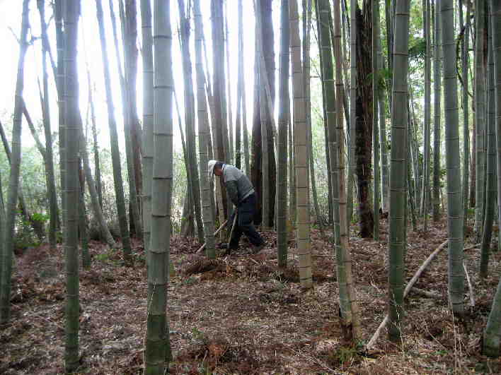 地中からは　光が漏れてこないなぁ