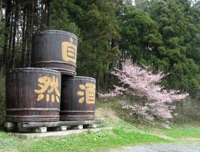 自然酒で　花もほんのり　桜色