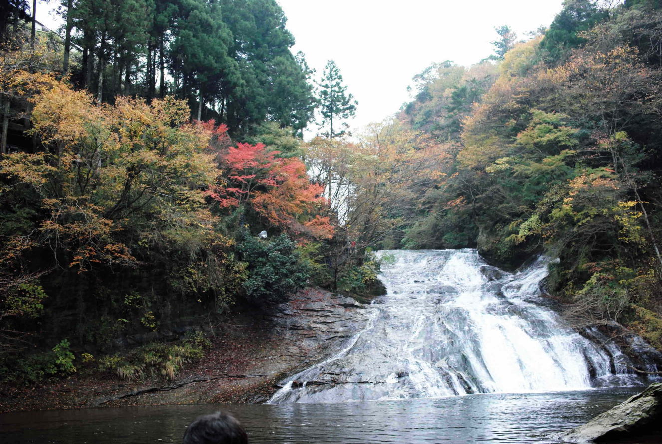 おとくな紅葉路 養老渓谷 粟又の滝 千葉県 紅葉の見ごろは11月下旬～12月上旬 今年最後の紅葉散策は、紅葉織りなす養老渓谷沿いの遊歩道を進み粟又の滝で秋を満喫 ネットショッピング大好き