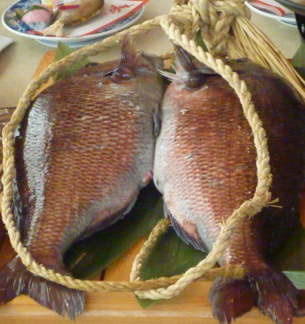 結納　鯛１