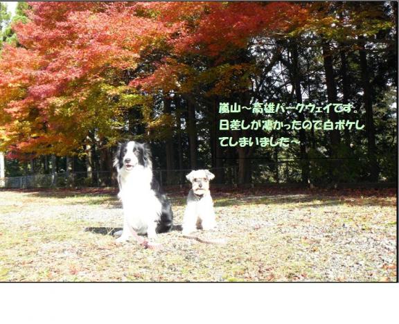 パークウェイ