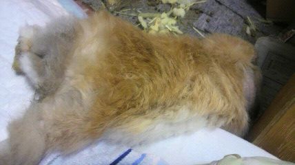 20101101.jpg