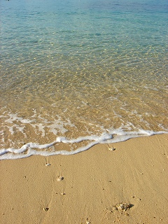 砂浜が奇麗でしょ？　