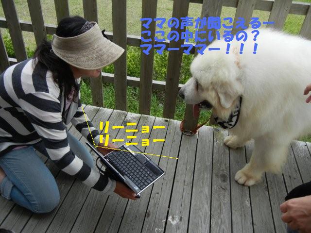 DSCN0499.jpg