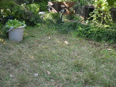 草抜き1日目終了