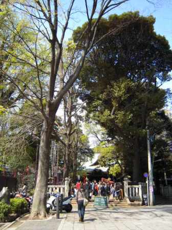DSCN5978.JPG