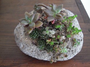 DSCN5846.JPG