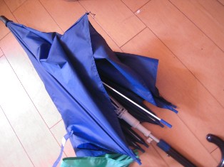 DSCN8259.JPG