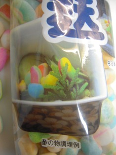 DSCN5604.JPG