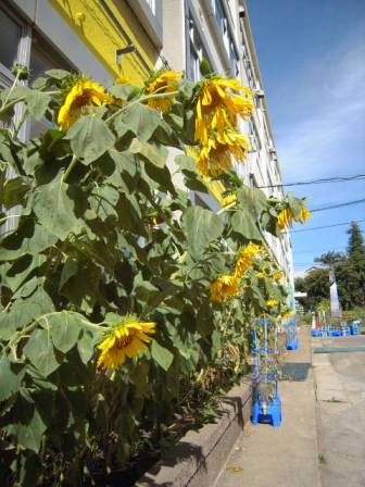DSCN6900.JPG