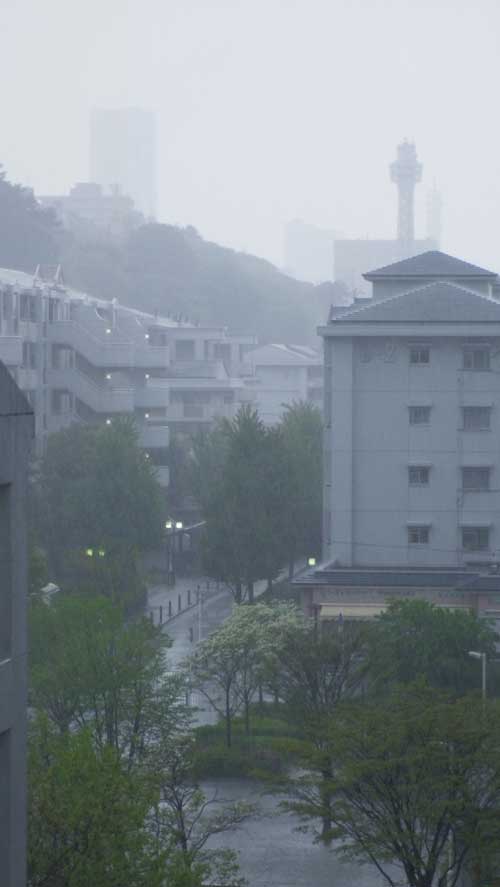 雨の横浜1.jpg