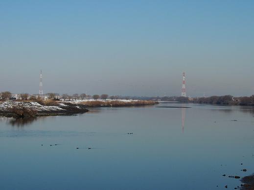 運河口付近の江戸川