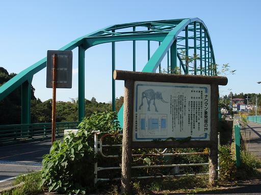 山田橋とナウマン像化石