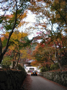 興聖寺参道