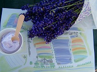 ファーム富田イースト限定ソフトと生花