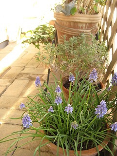 IMG_7627.jpg