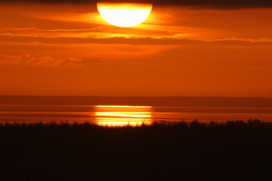 IMG_7987 (1)日の出.jpg