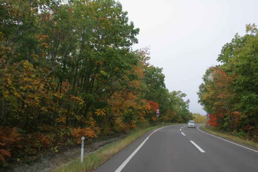 IMG_9759 (1)硫黄山.jpg