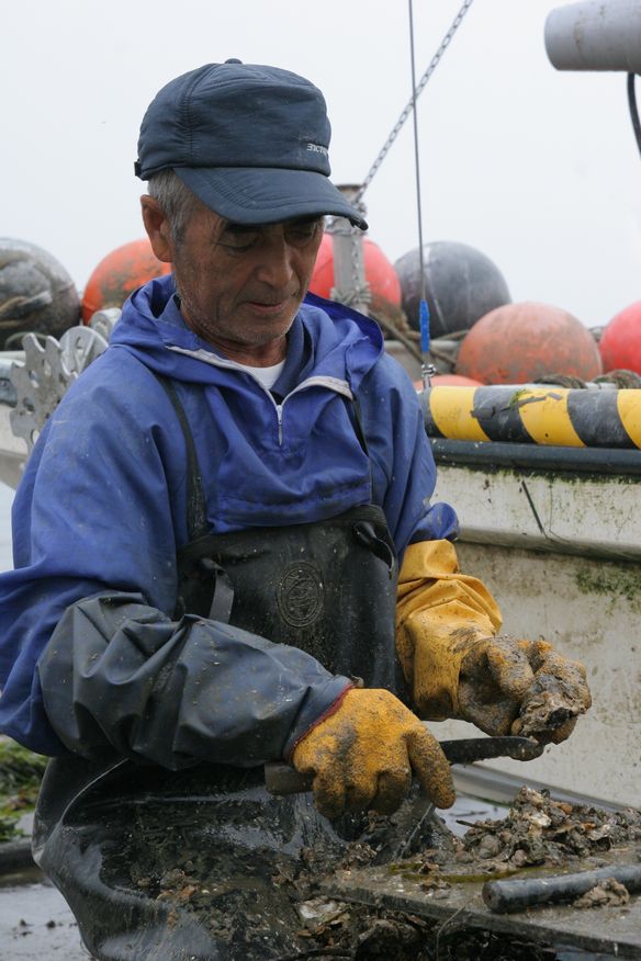 IMG_6656 (1)蠣の掃除.jpg