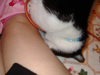 大根足と。。。？？