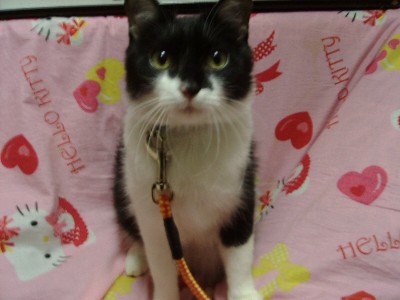 可愛いゆきちゃん♪