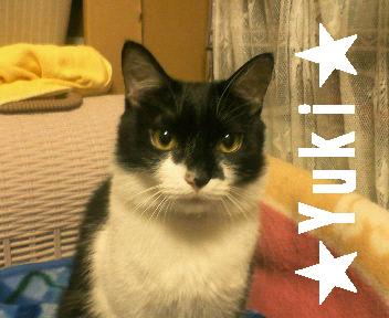 どこ見てんの？