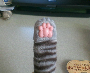 猫にゃんぼぅ２