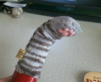 猫にゃんぼぅ３