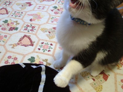 ちょっぴり恐いの。。。ママ