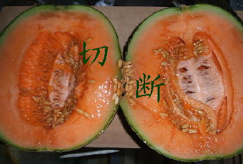 melon3