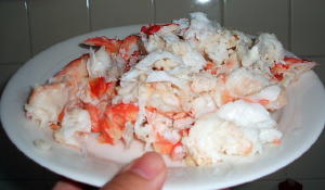 crab2