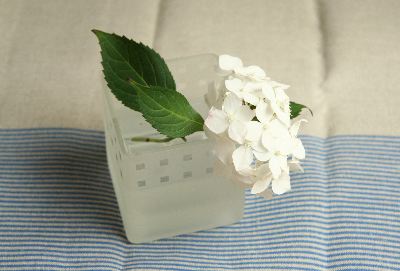 スクエア・アジサイ400