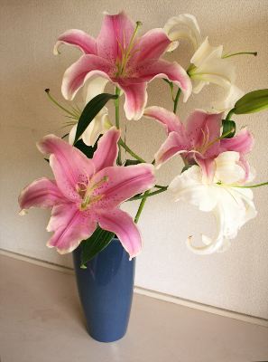 カリフォルニアベース400